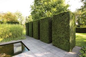 decorative-hedge-fence